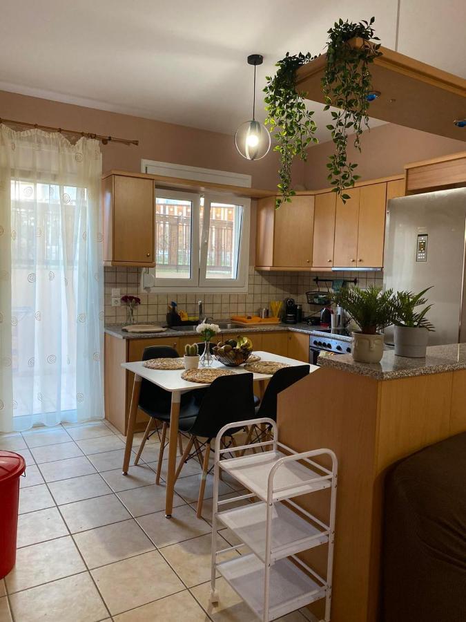 Antonis Apartment Nea Selefkia 外观 照片